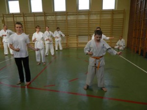 11393044_1018128064863852_9192650986948740880_n