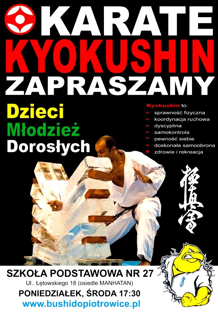 plakat karate 2015