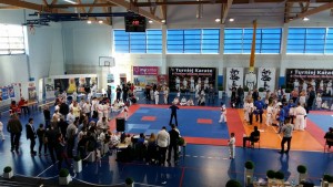 12106716_888300971247778_3078949656837882654_n