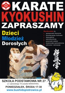plakat karate 2015