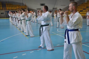 13438935_1305432276153148_8416502995400678221_n