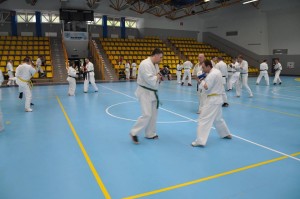 13439232_1305434512819591_2472927634693515227_n