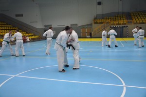 13502138_1305435312819511_2954277001169839210_n