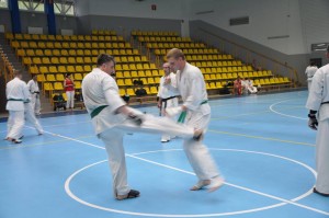 13532915_1305435129486196_7307590589748686996_n