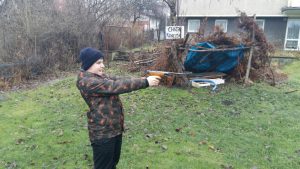 20161226_133614_1482769229800_resized